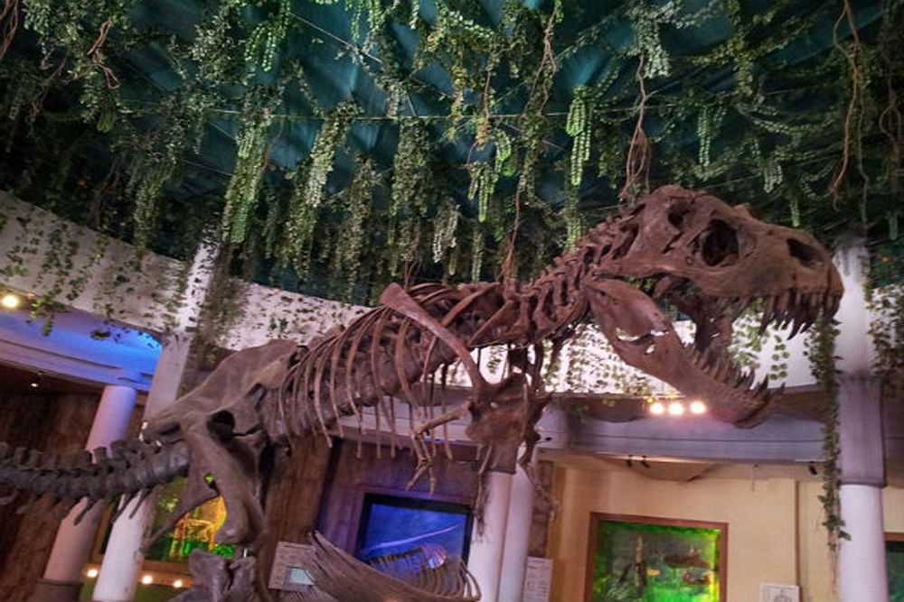 Innovative Film City