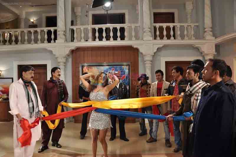 Live Show Tours Packages 