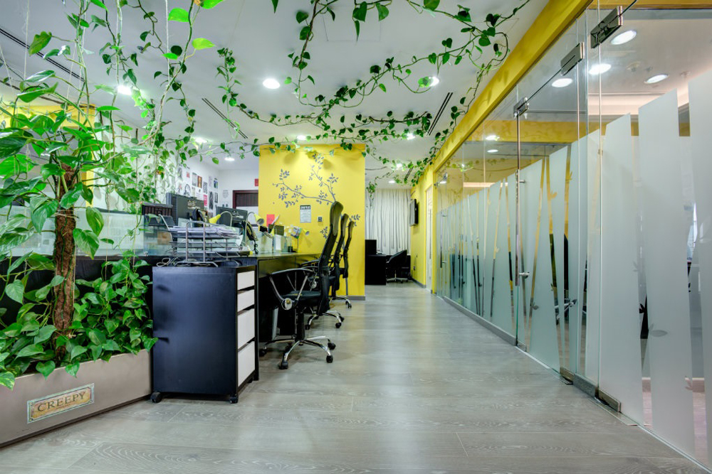 Zee Green Studio Tours